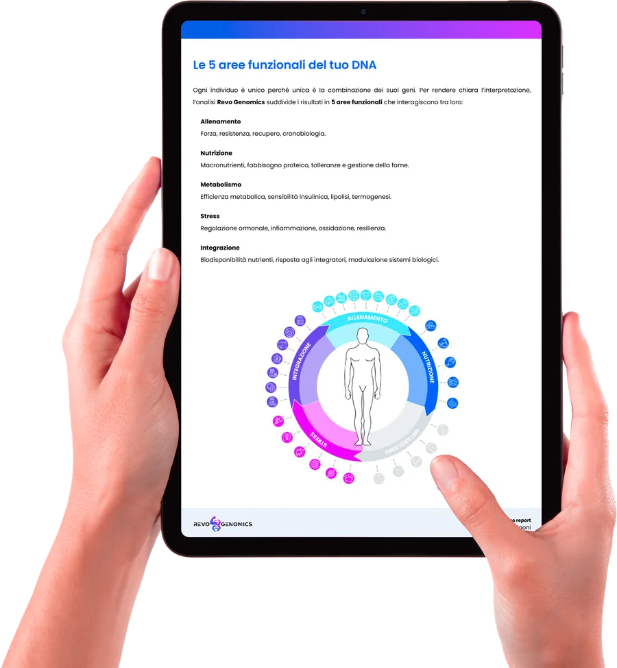 Il report su tablet: le cinque aree funzionali del DNA